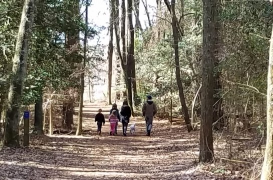 family walking at pemberton
